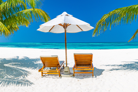 Vietnam Posts 30% Surge in International Tourism, Tops Asia‑Pacific Region