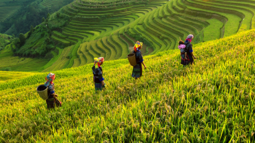 Vietnam Among Top Friendliest Travel Destinations