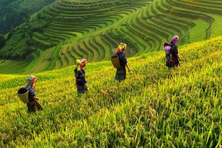 Vietnam Among Top Friendliest Travel Destinations