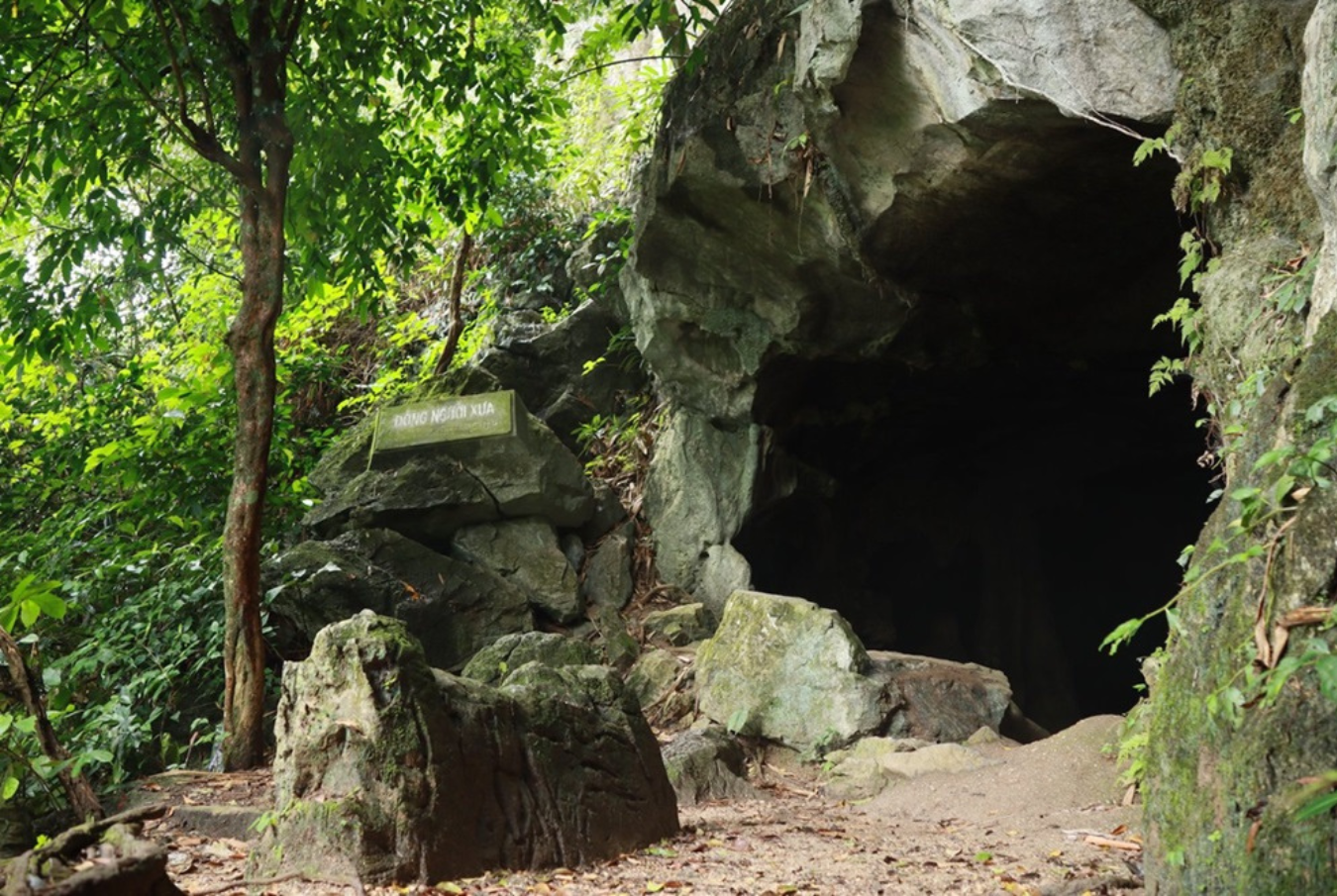 Exploring Northern Vietnam Tour 9 Days