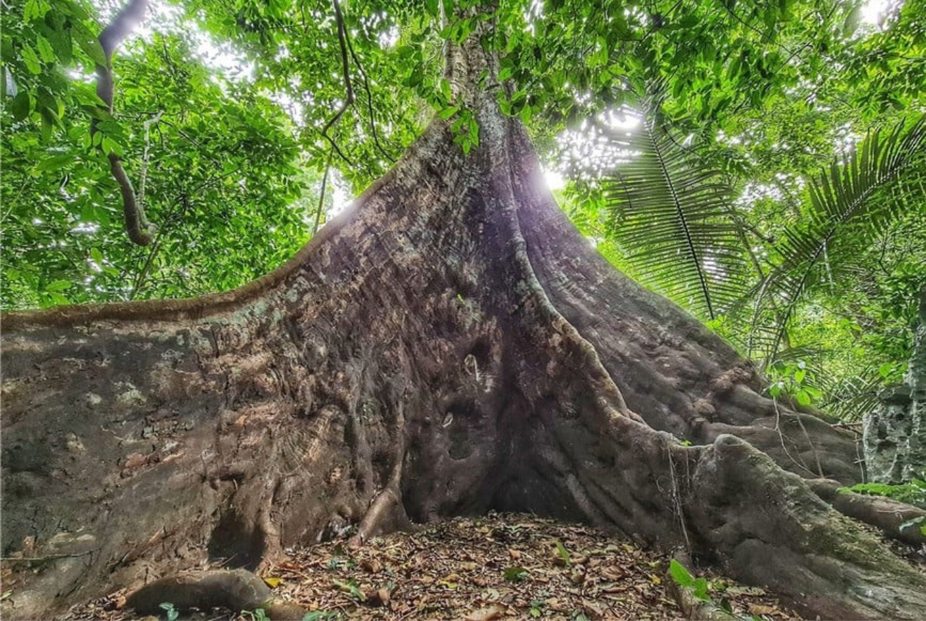 Exploring Northern Vietnam Tour 9 Days