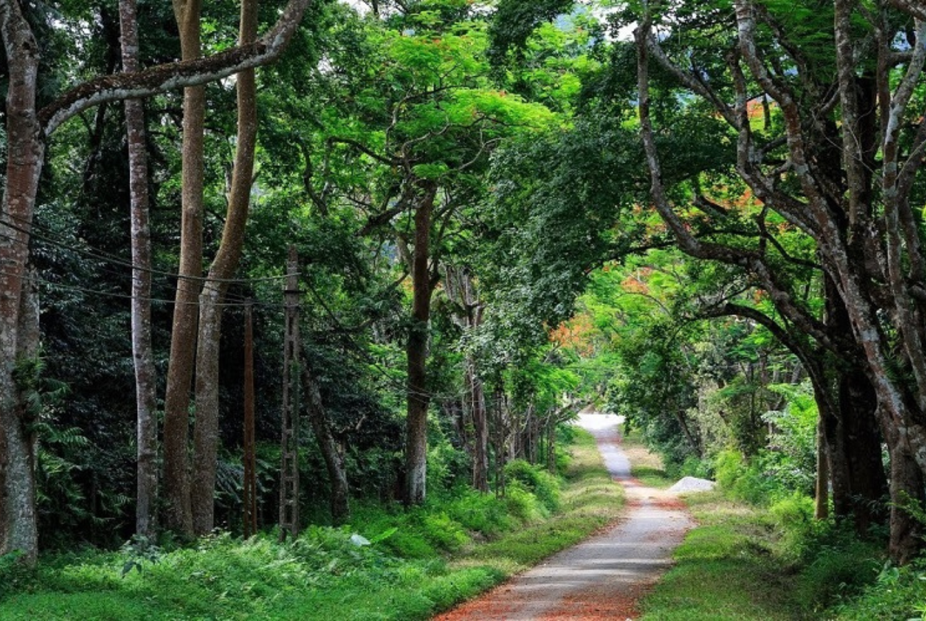 Exploring Northern Vietnam Tour 9 Days