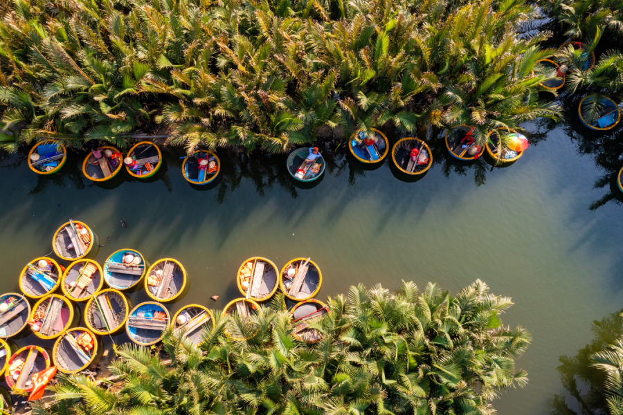 Cam Thanh Ecotour & My Son Sanctuary – 1 Day Tour