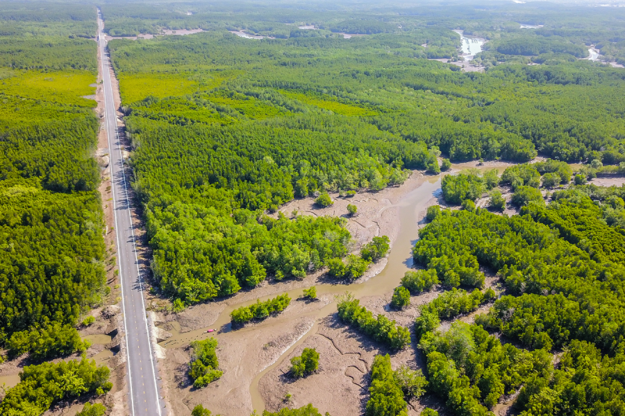 A Sustainable Journey Through Nature And Local Life In Can Gio – 1 Day Tour