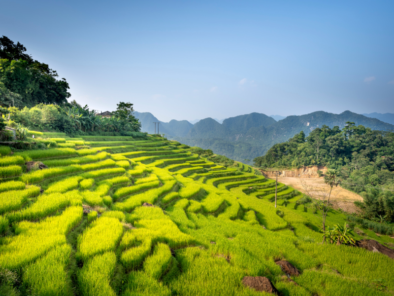 Muong to Thai Ethnic Villages 8 Days