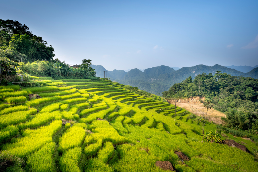 Muong to Thai Ethnic Villages 8 Days