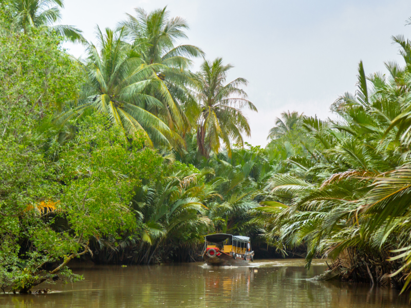 My Tho – Ben Tre – 1 Day Tour
