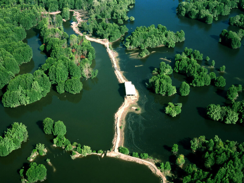 A Sustainable Journey Through Nature And Local Life In Can Gio – 1 Day Tour