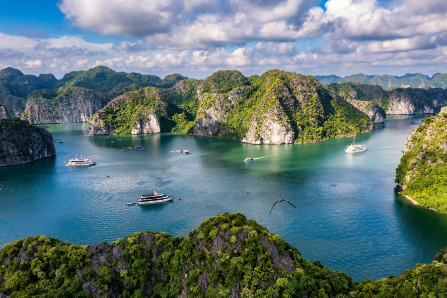 Lan Ha Bay & Cat Ba Island Full Day Tour