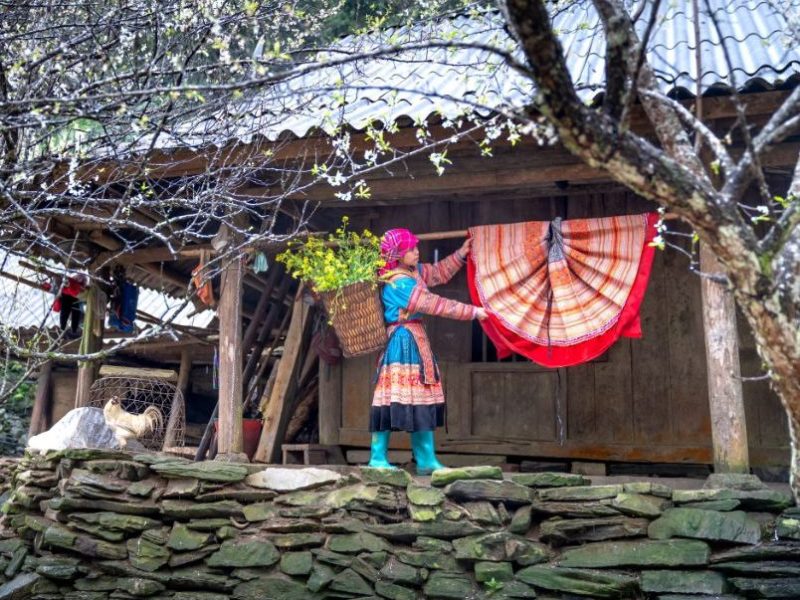 Mystic Northern Peaks 10 Days