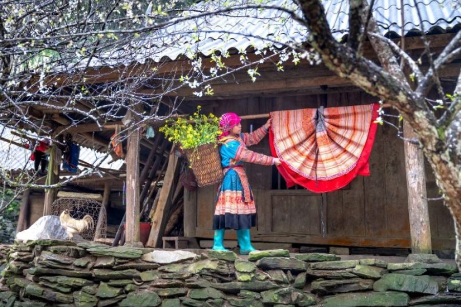 Mystic Northern Peaks 10 Days