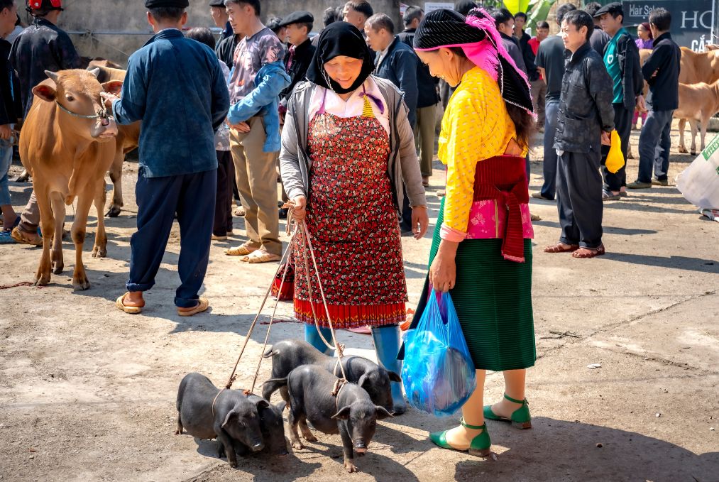 Mystic Northern Peaks 10 Days