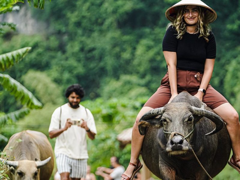 Be A Real Farmer With Buffalo Cave Tour