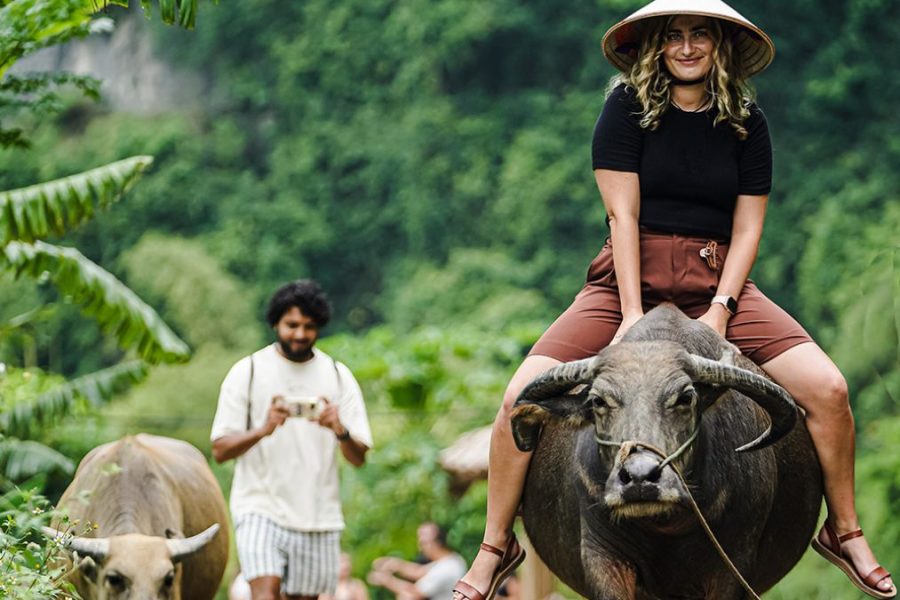 Be A Real Farmer With Buffalo Cave Tour