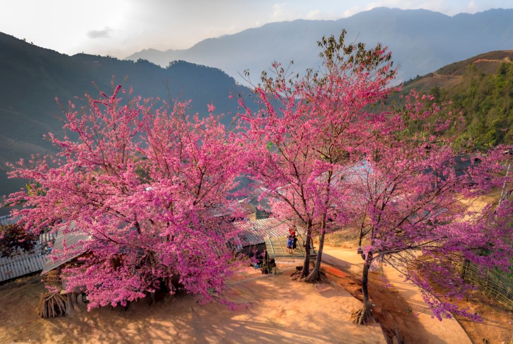 Mystic Northern Peaks 10 Days