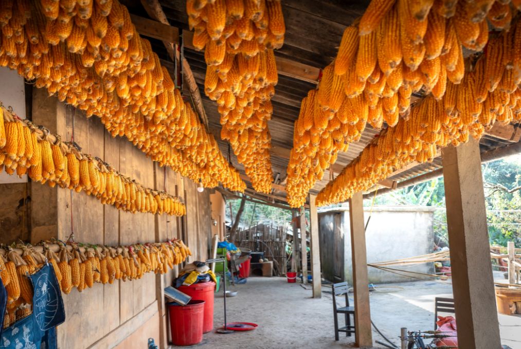 Mystic Northern Peaks 10 Days