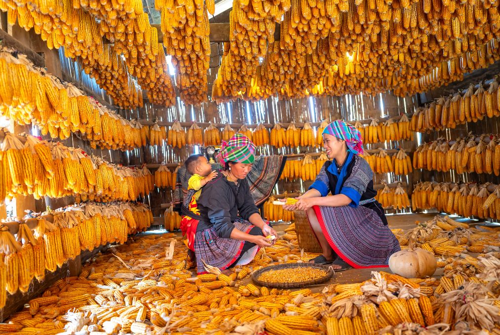 Mystic Northern Peaks 10 Days