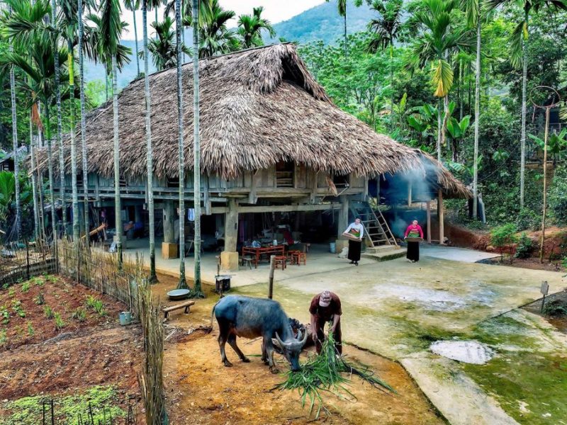 Authentic Northern Vietnam Experience 8 Days