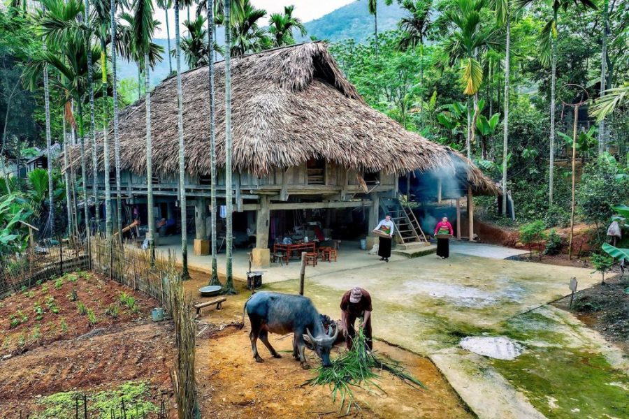 Authentic Northern Vietnam Experience 8 Days